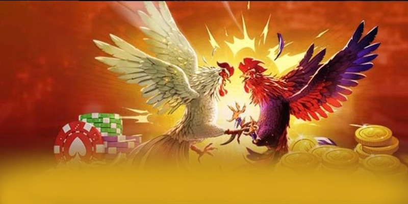 Tìm hiểu 8XBET - Cổng game được tin dùng tại Việt Nam Tìm hiểu 8XBET - Cổng game được tin dùng tại Việt Nam